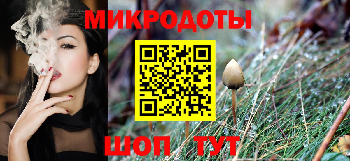 Галлюциногенные грибы GOLDEN TEACHER  где купить наркоту  Котовск  Галлюциногенные грибы Magic Shrooms  Вход с VPN 