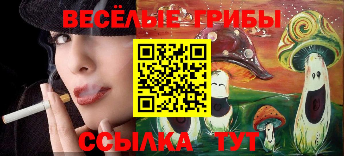 Псилоцибиновые грибы GOLDEN TEACHER Котовск